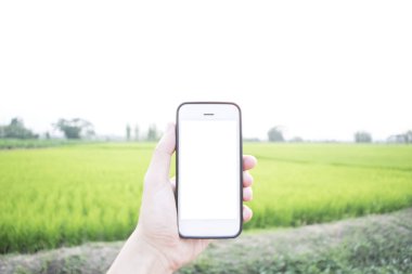 Genç kadınlar rekor tutmak için fotoğraf çekmek için cep telefonları kullanın