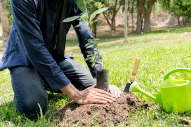 Genç adam oksijen miktarını arttırmak için ağaçlar dikiyor