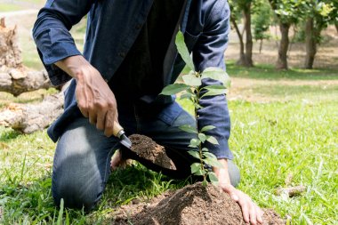 Genç adam oksijen miktarını arttırmak için ağaçlar dikiyor