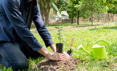 Genç adam oksijen miktarını arttırmak için ağaçlar dikiyor