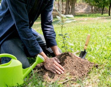 Genç adam oksijen miktarını arttırmak için ağaçlar dikiyor