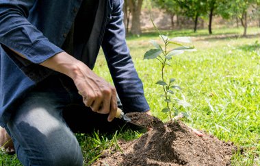 Genç adam oksijen miktarını arttırmak için ağaçlar dikiyor
