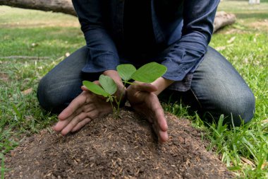 Genç adam oksijen miktarını arttırmak için ağaçlar dikiyor