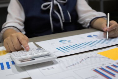 Muhasebeci yeni investo mali hesaplarını kontrol etti
