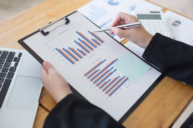 Veri analizi, Mali muhasebeciler şirket reve değerlendiriyor