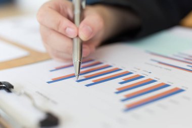 Veri analizi, Mali muhasebeciler şirket reve değerlendiriyor