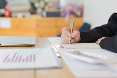 Veri analizi, Mali muhasebeciler şirket reve değerlendiriyor