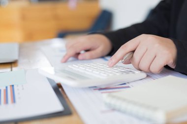 Veri analizi, Mali muhasebeciler şirket reve değerlendiriyor