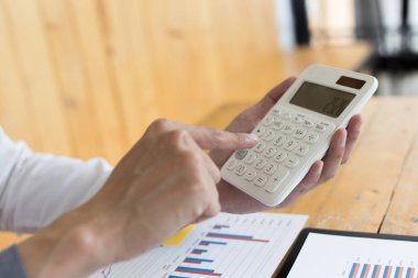 Veri analizi, Mali muhasebeciler şirket reve değerlendiriyor