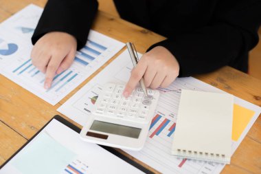 Veri analizi, Mali muhasebeciler şirket reve değerlendiriyor