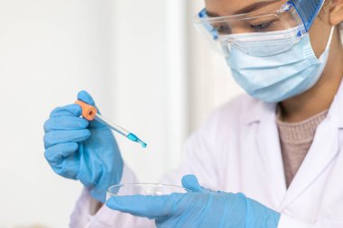 Bilim insanları kimyasal bileşimin ve biyolojik kütlesinin bilimsel bir laboratuvarda, bilim adamlarında ve laboratuar konseptinde tespit edilmesine hazırlanmak için mavi kimyasal test tüpleri taşıyorlar..