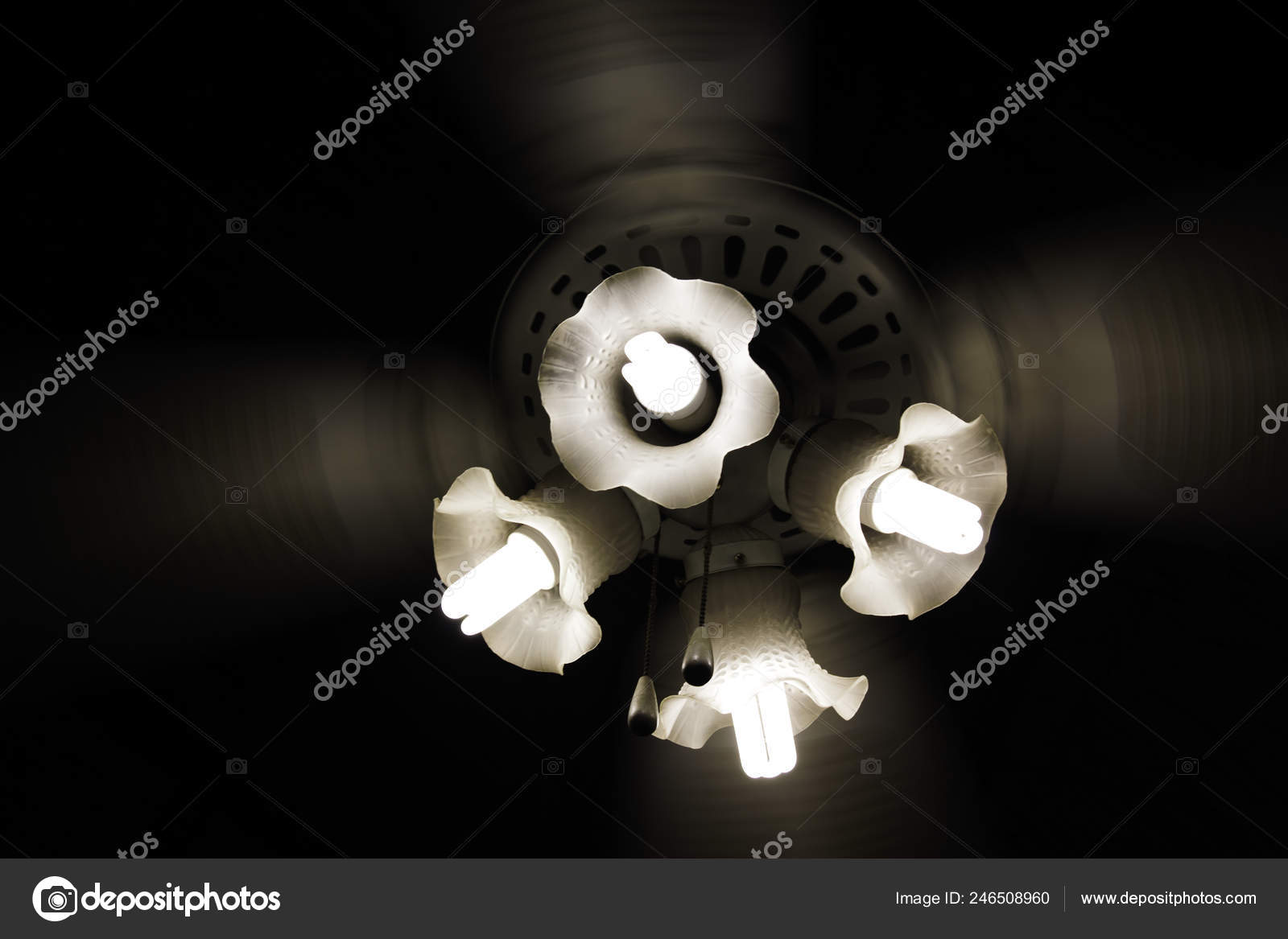 floral ceiling fan