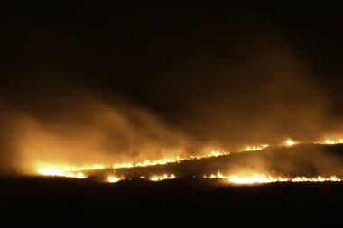 Duman, Pretoria, Güney Afrika ile Alanında Yanan Wildfire Running
