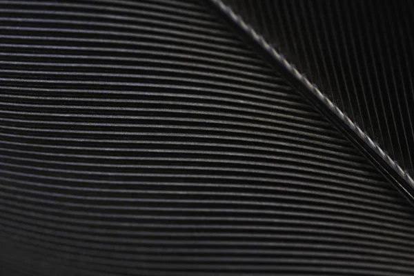 Black Raven Feather Macro Detail Frame — Stock Photo, Image