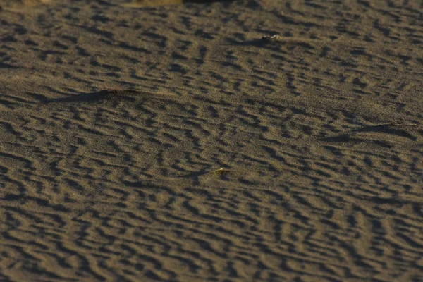 ソフトビーチ砂の驚異的な流れ波紋パターン — ストック写真