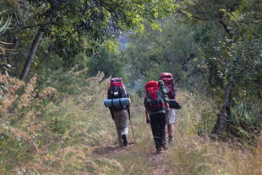 A Forest Hill Trail Kadar Yürüyüş, Limpopo, Güney Afrika