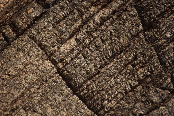 Layered Ancient Sedimentary Rock Face Surface, Limpopo, South Africa