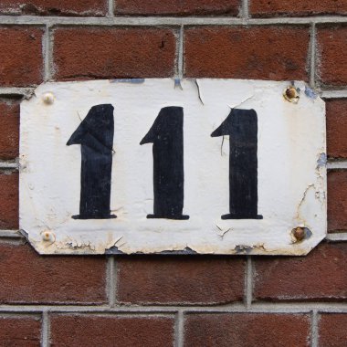 sayı 111