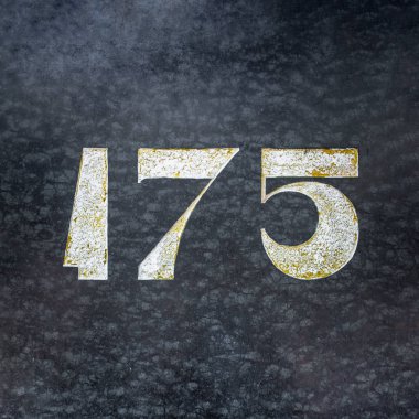 sayı 175