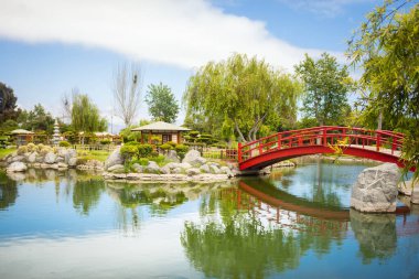 Kırmızı yay köprüsü ve Şili, La Serena 'da yansımaları olan güzel Japon bahçesi.