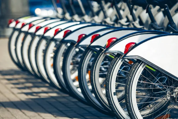 Wielen Van Fietsen Bij Het Verhuurstation — Stockfoto