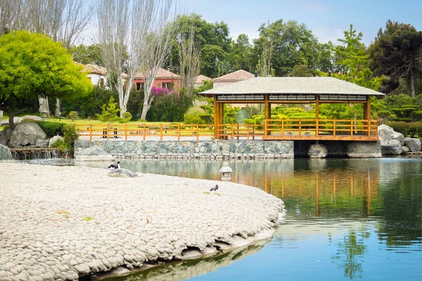 Bellissimo Giardino Giapponese Serena Cile — Foto Stock