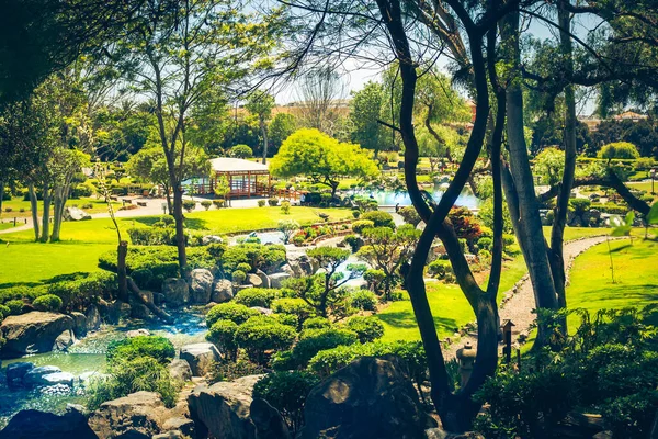 Belo Jardim Japonês Com Córrego Serena Chile — Fotografia de Stock