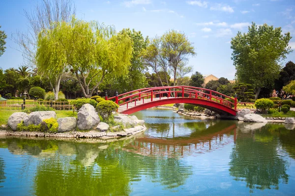 Jardim Japonês Com Bela Ponte Vermelha Reflexões Lagoa Serena Chile Imagem De Stock