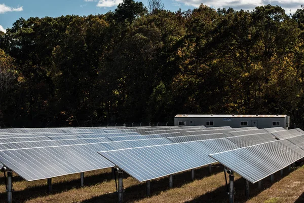 Renewable energy field replaces farm crops in Virginia