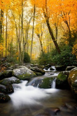 Smokey Mountains in the fall clipart