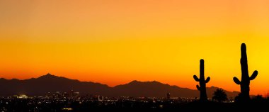 Phoenix Arizona Sunset with cactus clipart