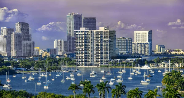 Miami Hafen Mit Vielen Booten — Stockfoto