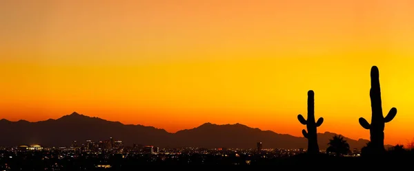 Phoenix Arizona Sonnenuntergang Mit Kaktus — Stockfoto