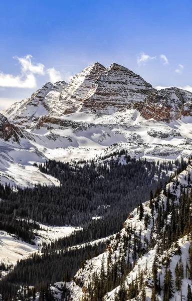 Cloches Marron Colorado — Photo