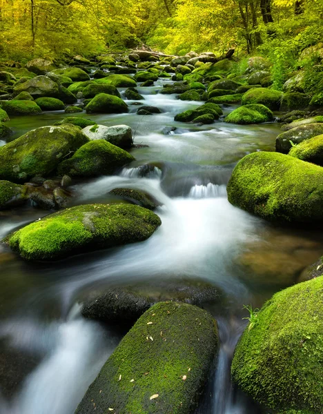 Slowing Water Sown Stream Rocks Moss — Stock Photo, Image