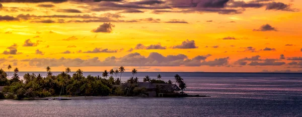 Bora Bora Západ Slunce Palmami — Stock fotografie