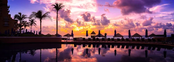 Cancun Resort Palmiye Ağaçları Ile — Stok fotoğraf