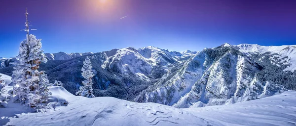 Inizio Del Campeggio Elk Sullo Sfondo Delle Montagne Invernali Fotografia Stock