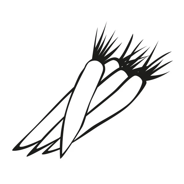 stilize vektör görüntü bir sebze