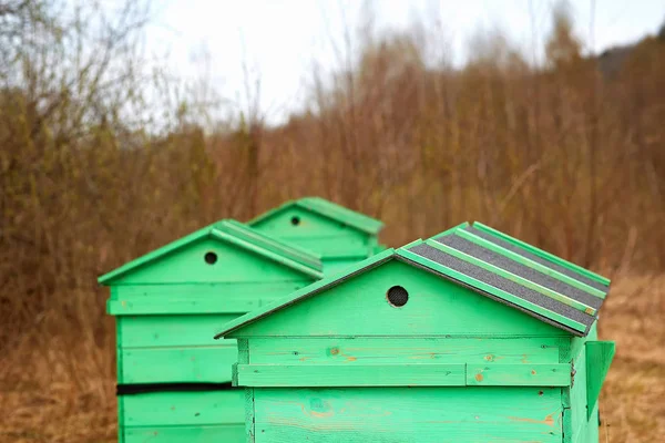 fotoğraf stüdyo cihazları beyaz arka plan