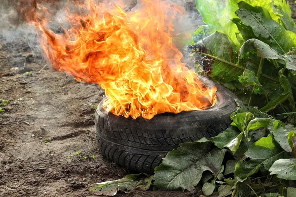 fotoğraf stüdyo cihazları beyaz arka plan