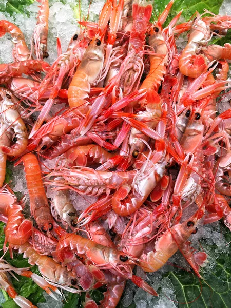 Taze karides buz ve yeşil yaprakları