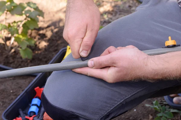 Erken ilkbaharda dikim için hazırlanmıştır. damla sulama için kırmızı saplı musluk. Damlama Sulama Sistemi Kapat. bir skein damla sulama için hortum. Diy damla sulama sistemi montajı