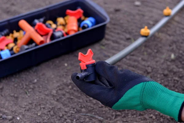 Erken ilkbaharda dikim için hazırlanmıştır. damla sulama için kırmızı saplı musluk. Damlama Sulama Sistemi Kapat. bir skein damla sulama için hortum. Diy damla sulama sistemi montajı
