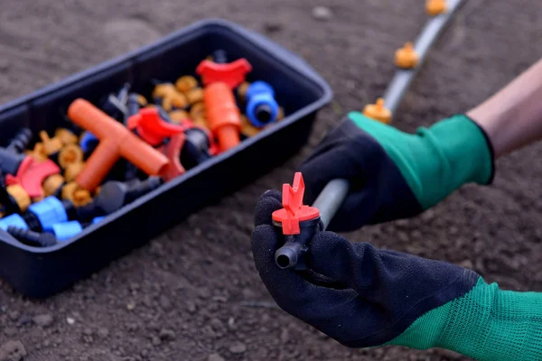 Erken ilkbaharda dikim için hazırlanmıştır. damla sulama için kırmızı saplı musluk. Damlama Sulama Sistemi Kapat. bir skein damla sulama için hortum. Diy damla sulama sistemi montajı
