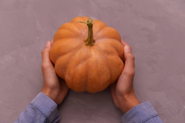 Gri arka planda küçük bir balkabağı, bir kızın ellerinde..