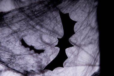 Cadılar Bayramı arkaplanı dekoratif siyah örümcek ağı ve yarasa. Cadılar Bayramı köyü için yapay siyah ağ. Metin ve ön görünüm için boşluk.