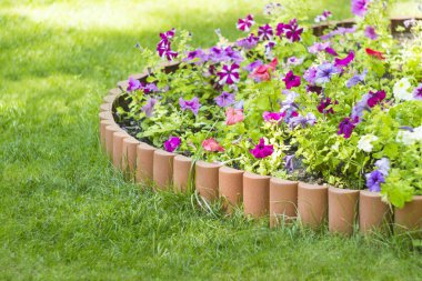 Çiçekler, çit, yaz, yük arabası