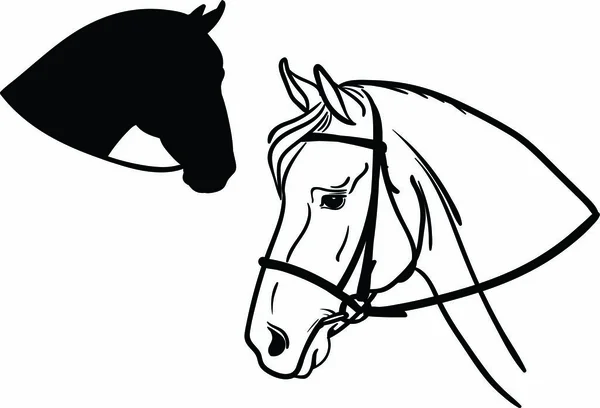 bir at kafası bir atıştırmam kafa bandı