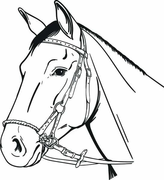 Кінь Бік Тягнути Брідл — стоковий вектор